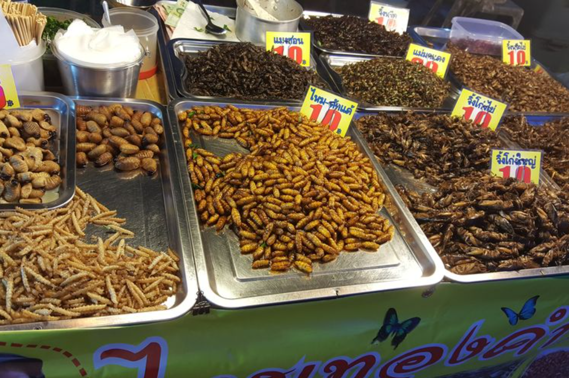 serangga-sebagai-alternatif-protein-dalam-program-mbg-perspektif-pakar-entomologi-ipb
