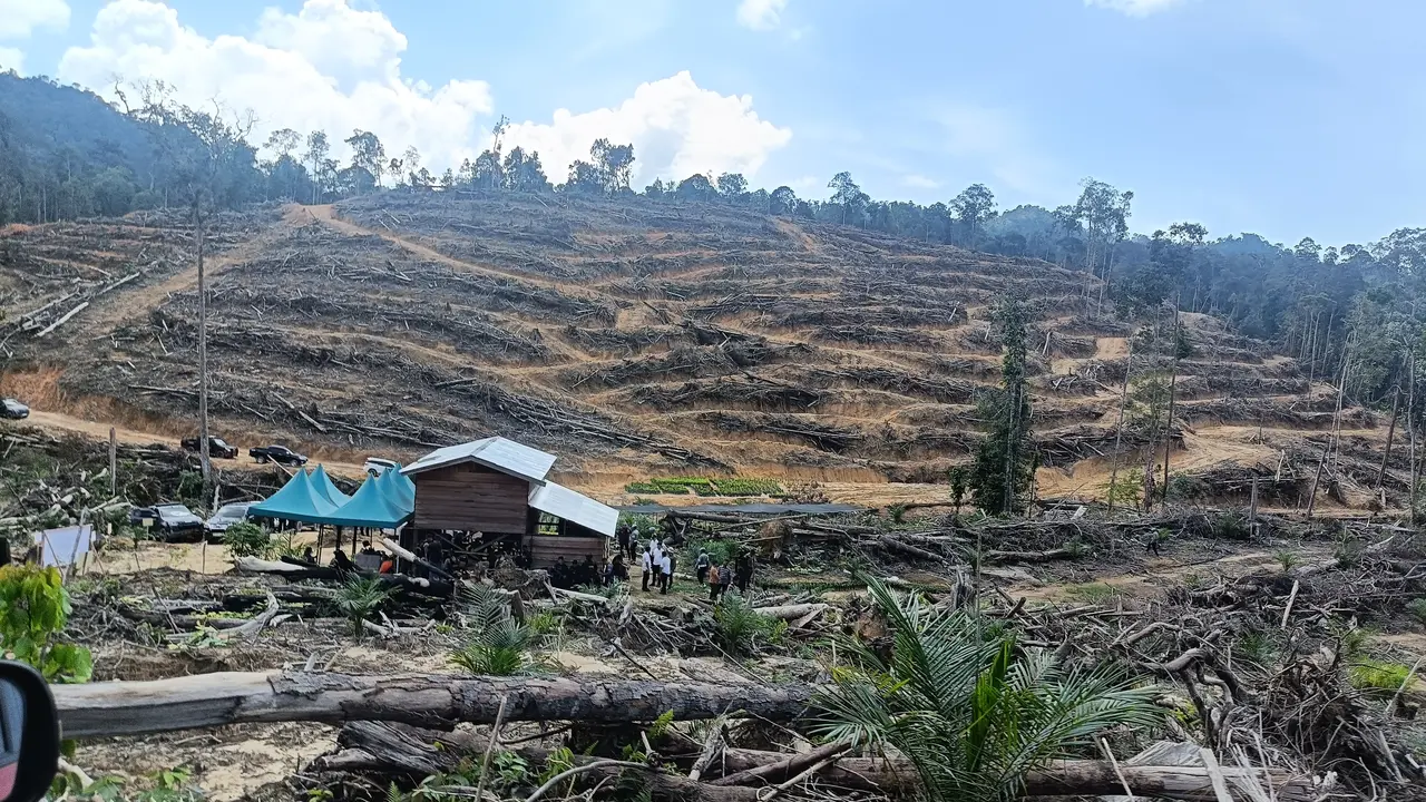 relokasi-warga-tesso-nilo-harus-humanis-walhi-riau-tolak-pendekatan-represif